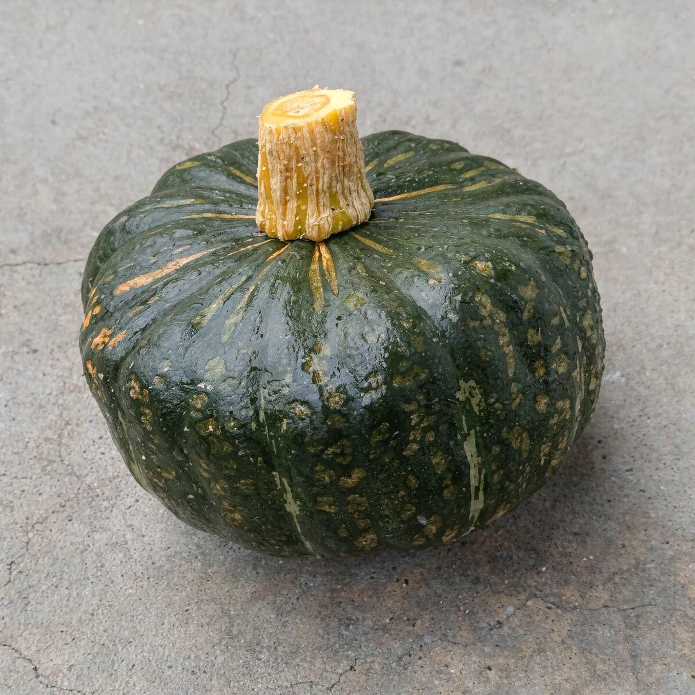 Buttercup / Hubbard squash — hero (AI-generated reference image)