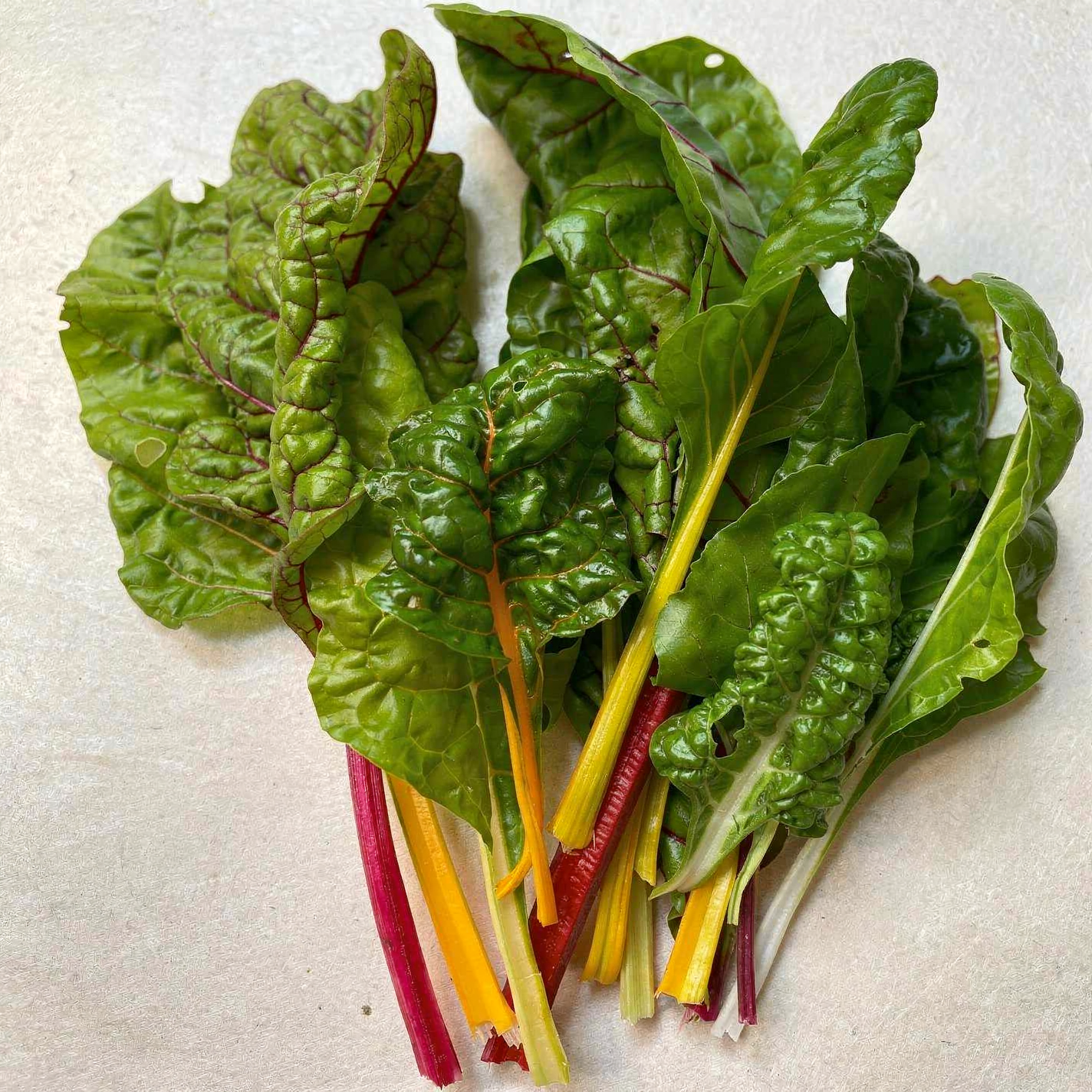 Bright Lights chard with colored stems