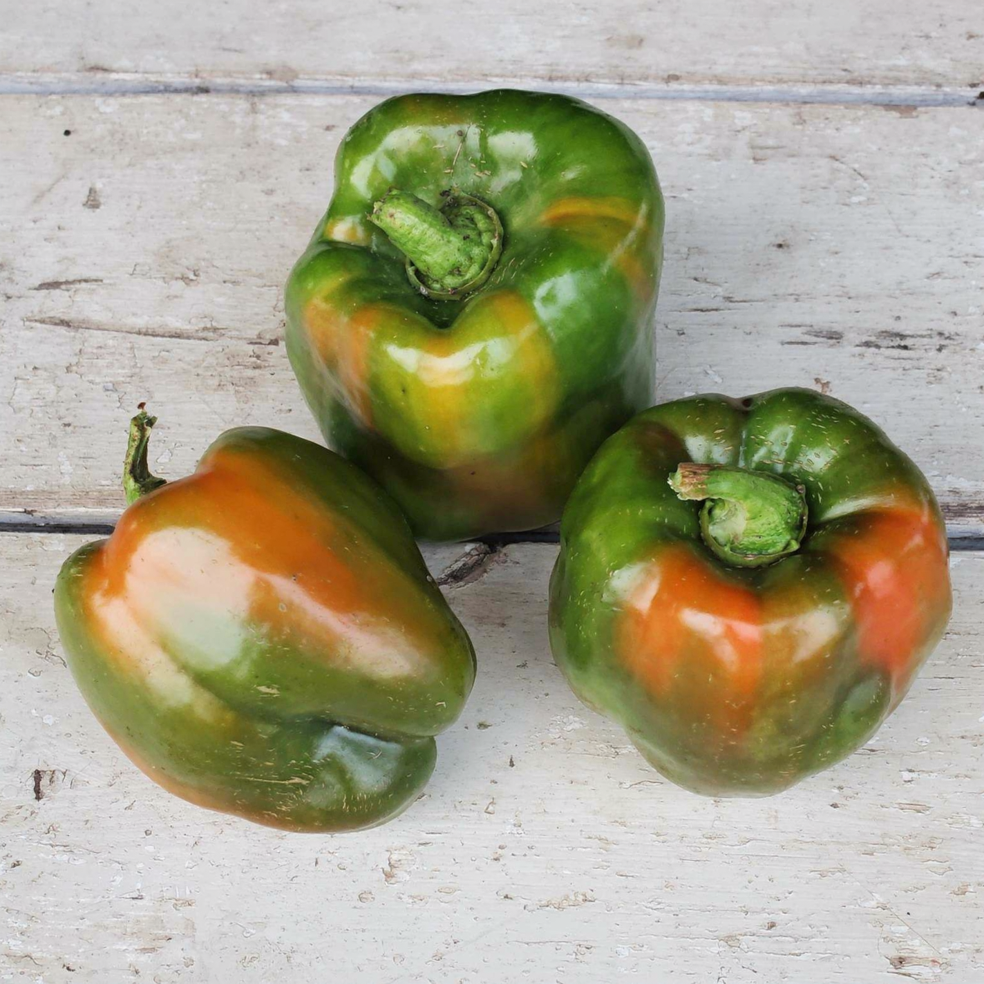 California Wonder bell peppers