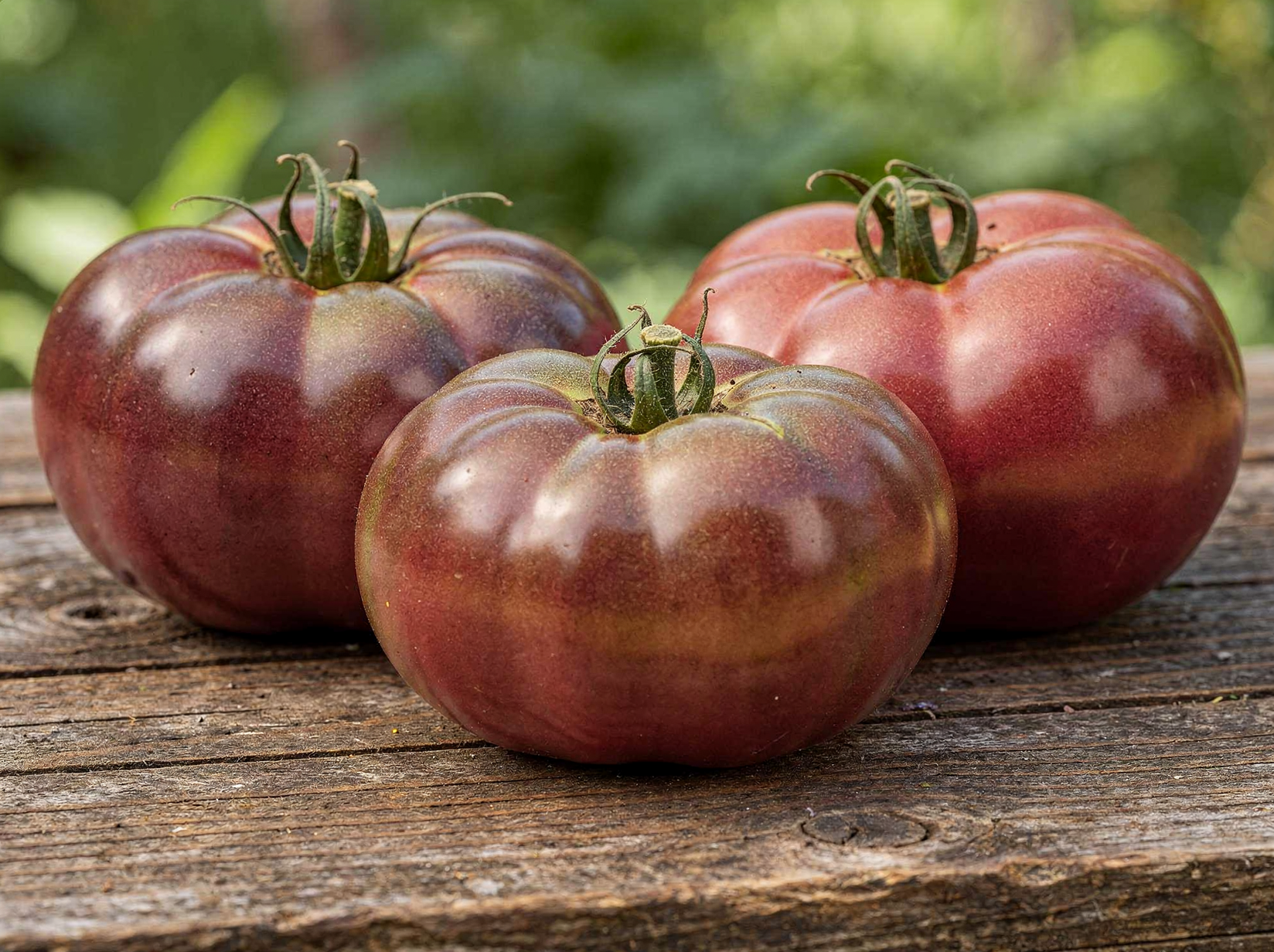 Cherokee Purple tomatoes, deep dusky red with green shoulders